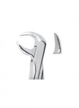 Extracting Forceps